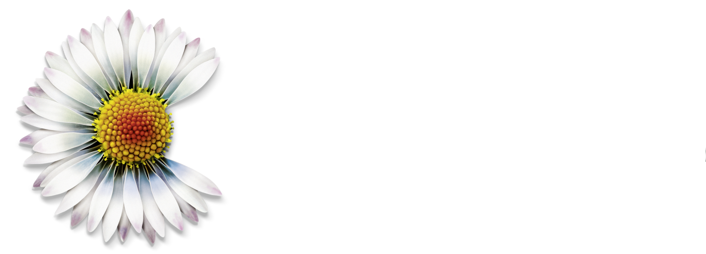 Count+Care